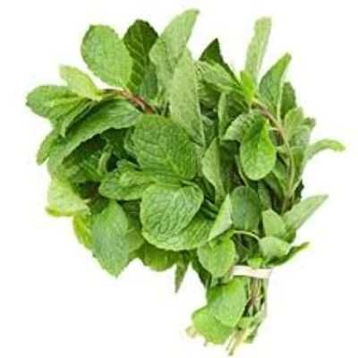 Scent Leave (Bunch)