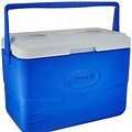 Cooler (10ltrs)