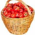 Fresh Tomatoes - (Unsorted)