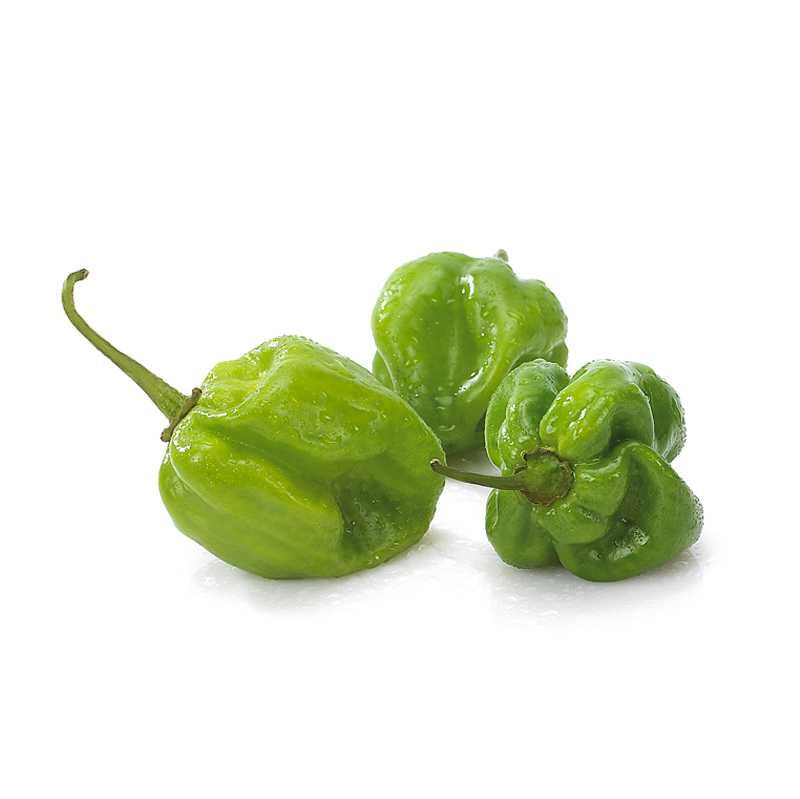 Green Atarodo