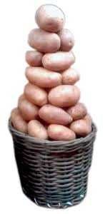 Irish Potato (Half Basket)