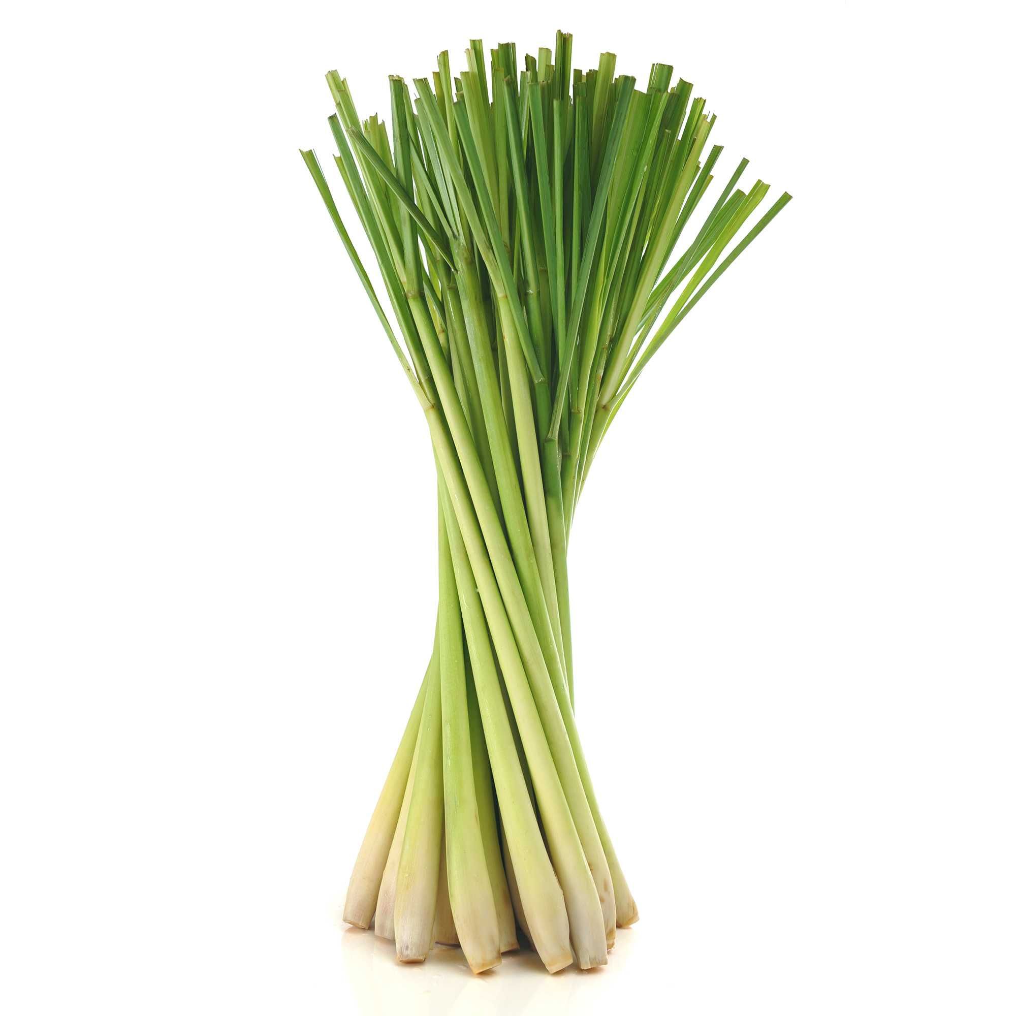 Lemon Grass (Bunch)