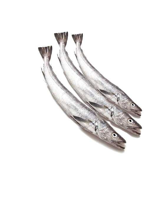 Hake Fish (10kg)