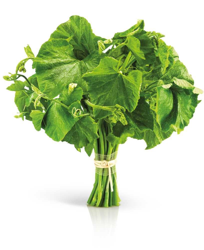 Pumpkin Leaf / Ugwu (Bunch)