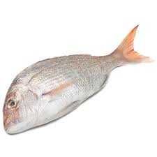 Sniper Fish