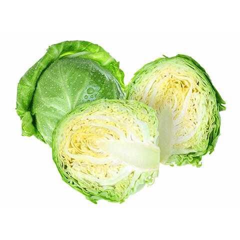 Cabbage