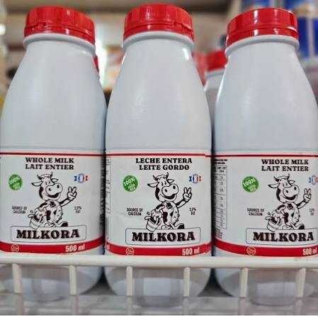 UHT Milk - Milkora